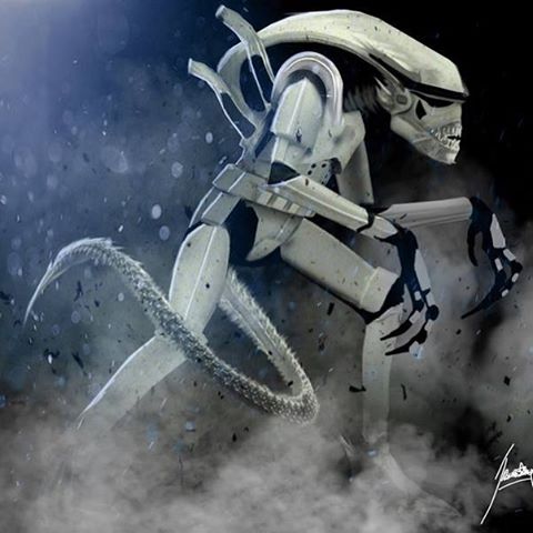 tumblr_nvlibkUNJC1u3vhrqo1_500