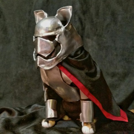 tumblr_nzq8mr9ORB1rhz81io1_1280